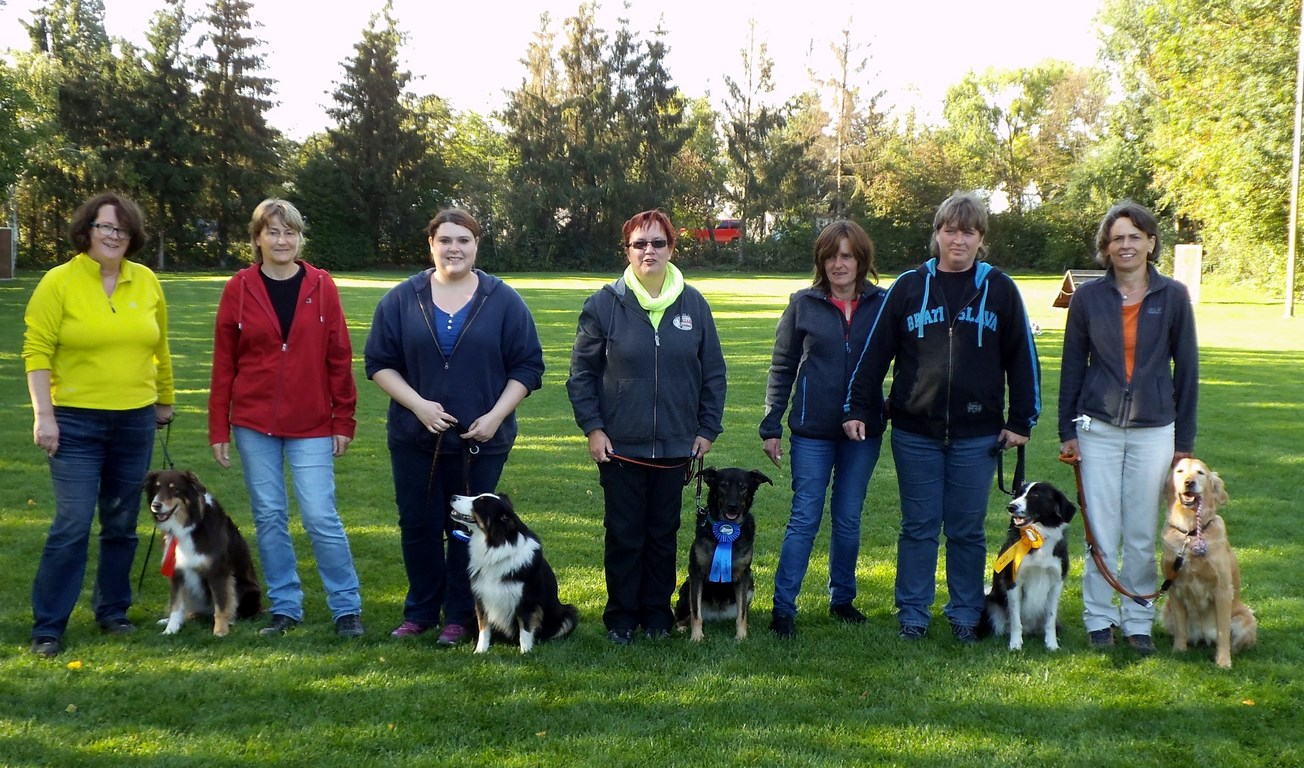 Obedience Team